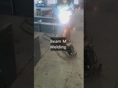 スリランカ製鋼工房とクレーンプロジェクト